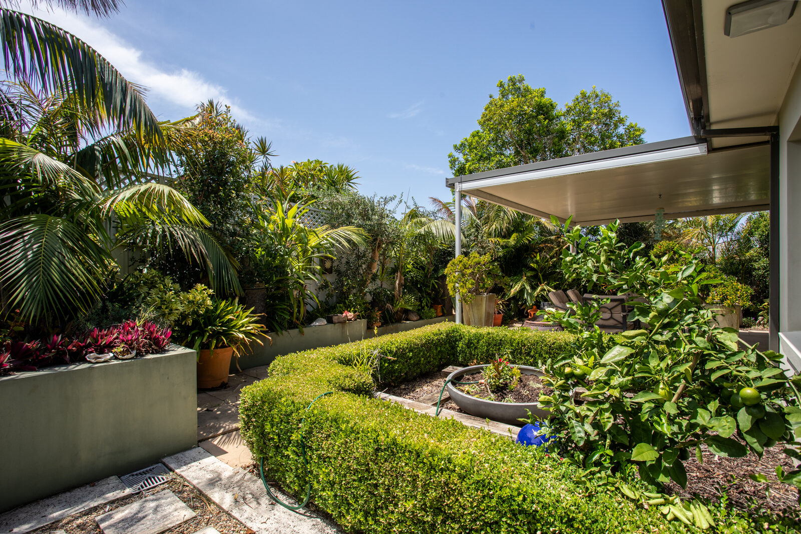 The established garden at the Caringbah South property